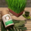 A vibrant green wheatgrass powder, finely ground and spread out on a white surface, highlighting its rich color and texture.