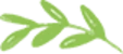 Leaf icon